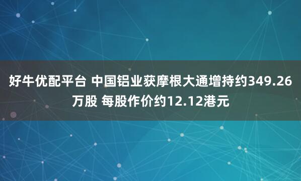 好牛优配平台 中国铝业获摩根大通增持约349.26万股 每股作价约12.12港元