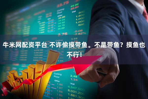牛米网配资平台 不许偷摸带鱼。不是带鱼？摸鱼也不行！