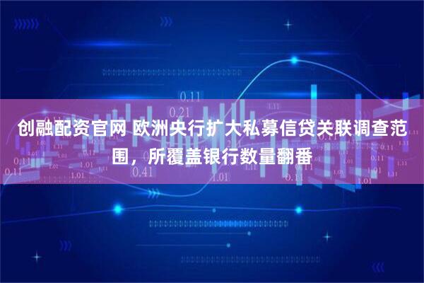 创融配资官网 欧洲央行扩大私募信贷关联调查范围，所覆盖银行数量翻番