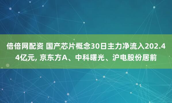 倍倍网配资 国产芯片概念30日主力净流入202.44亿元, 京东方A、中科曙光、沪电股份居前